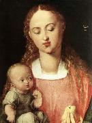 Albrecht Durer Madonna and Child with the Pear Spain oil painting artist